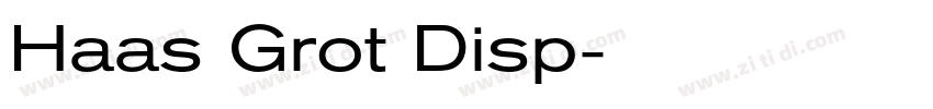 Haas Grot Disp字体转换